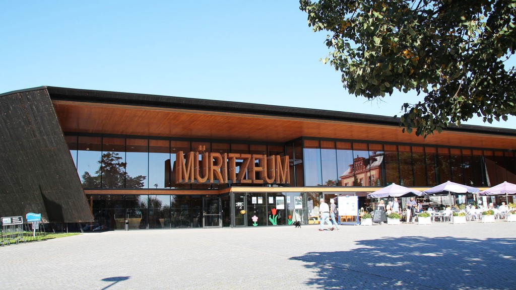 Müritzeum